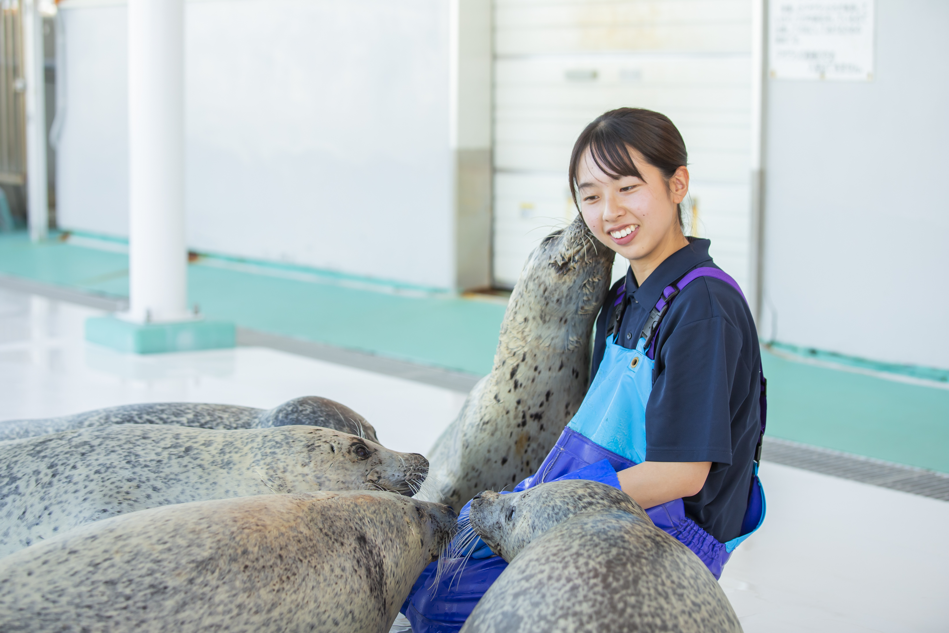 アザラシ博士 ふるさと納税未来創造AWARD2025